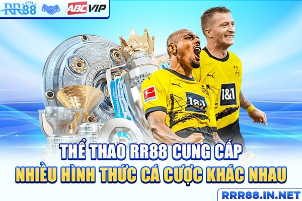 Thể Thao RR88 cung cấp nhiều hình thức cá cược khác nhau