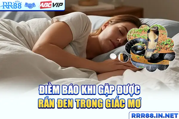 Điềm báo khi gặp được rắn đen trong giấc mơ