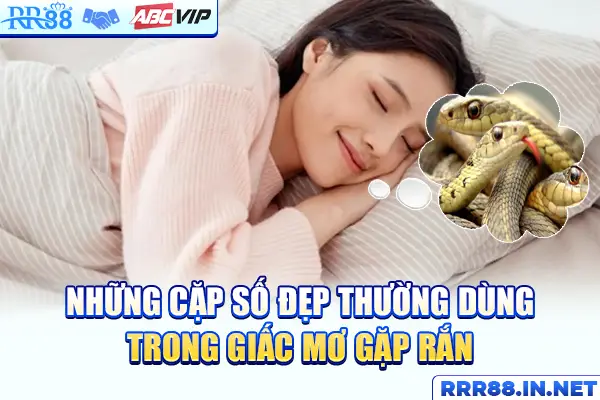 Những cặp số đẹp thường dùng trong giấc mơ gặp rắn